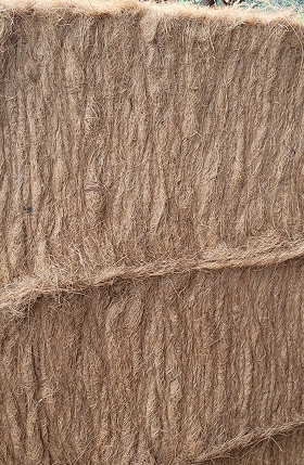 Cocofiber