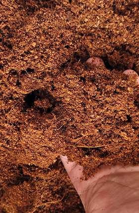 Cocopeat